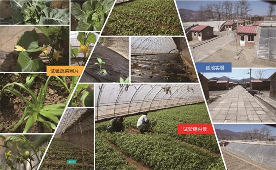 低碳農(nóng)業(yè)可以從改善過(guò)度疲勞的土壤開始