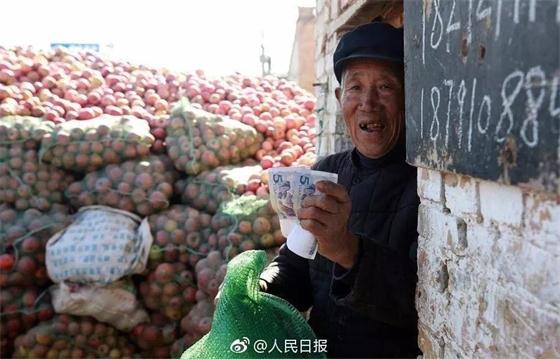 7旬老人賤賣酥梨搏同情，發(fā)展農(nóng)業(yè)產(chǎn)業(yè)鏈才能治本!