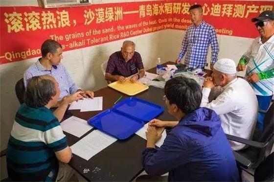 袁隆平團(tuán)隊在迪拜沙漠種出水稻，這一次，中國輸出的是技術(shù)!